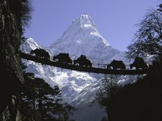 a group of animals crossing a suspension bridge in front of a snow - capped mountain