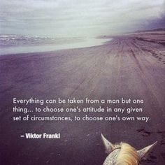 a horse walking on the beach with a quote about everything can be taken from a man but one thing to choose is attitude