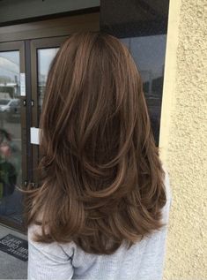 Hair Cut 2024 Girl, Hair Cut Style For Girls 2023, U Shape Layered Haircut, Layered Long Brown Hair, Viviane Audi Hair, Brown Hair Butterfly Cut, Straight Brown Hair With Layers, Butterfly Haircut Brown Hair, Brown Hair Layers Medium