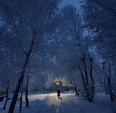 a person walking down a snow covered road at night in the woods with lights on