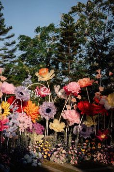 colorful flowers are in the middle of a garden