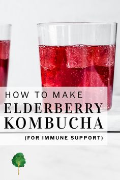 how to make elderberry kombucha for imuse support