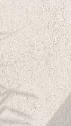 the shadow of a palm tree is cast on a white stucco wall with a plant