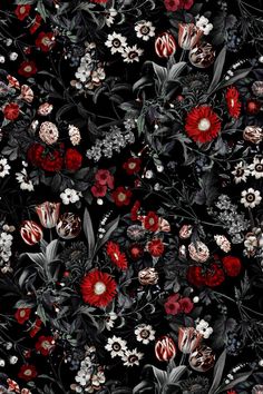 a black and red floral wallpaper with lots of different flowers on it's sides