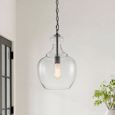 a clear glass light hanging from a ceiling fixture in a white room with a potted plant next to it