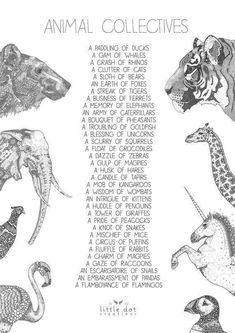 an animal collection is shown in this black and white drawing, with the words animals on it