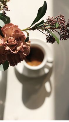 a cup of coffee and some flowers on a white table with the shadow of a vase