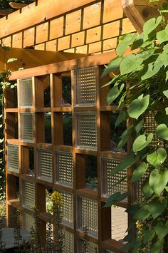 a wooden pergolated structure surrounded by greenery