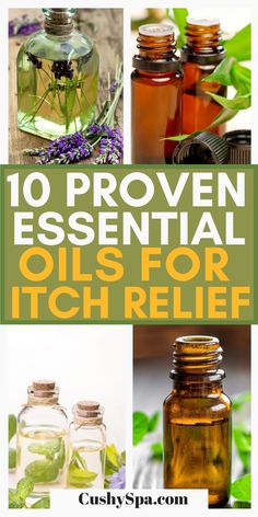 Essential Oils For Itching Skin, Natural Remedies For Itchy Skin, Essential Oil Itch Relief, Essential Oil For Itchy Skin Itch Relief, Essential Oils For Itchy Skin, Itching Remedies Skin, How To Stop Itching Skin, Itching Scalp Remedies, Oils For Itchy Skin