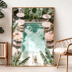 an outdoor pool with umbrellas and chairs in the background, surrounded by potted plants