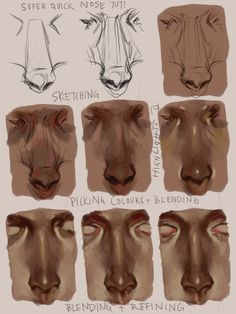 some different types of facial expressions for the face and nose, with various angles to show them