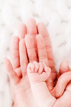 a hand holding a baby's finger in the air