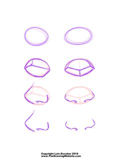 the steps in how to draw an animal's head with different shapes and sizes