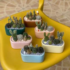 there are many small cactus plants in the potted planters on the table together