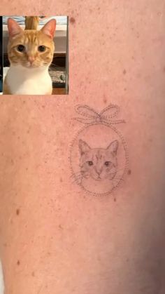 Cat Tattoo, My Cat, Cat Lovers, Tattoos