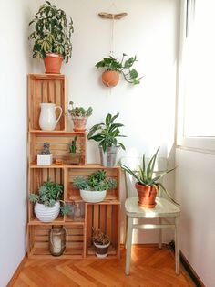 some plants are sitting on wooden crates in the corner