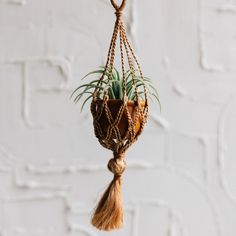 Neeka Mini Macrame Hanging Planter - Terracotta - Ten Thousand Villages Fairy Garden Plants, Macrame Hanging Planter, Mini Macrame, Macrame Hanger, Terracotta Planter, Macrame Hanging, Hanging Planter, Natural Jute, Style And Grace