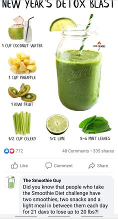 Smoothie With Mint Leaves, Zero Belly Smoothies, Lentil Mushroom Burger, Calorie Deficit Meal Plan, Smoothie Cleanse Recipes, Lentil Mushroom, Healthy Food Chart, Smoothie Diet Recipes