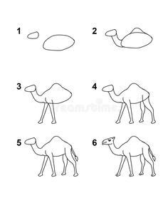 how to draw a camel step by step instructions for children and adults stock illustration image