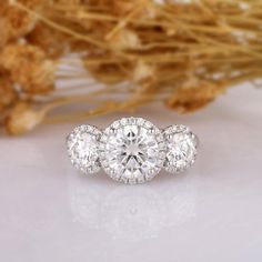 14K White Gold Moissanite Three-Stone Halo Engagement Ring - Black Diamonds New York Three Stone Engagement Rings Halo, Fancy Engagement Rings, Halo Wedding Set, Round Diamond Engagement Rings Halo, Gorgeous Rings, Stone Diamond Ring, Patterns Wallpaper, 3 Stone Engagement Rings, Sparkly Things