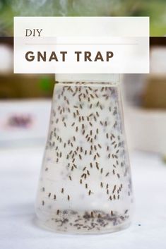 a glass vase filled with lots of tiny bugs on top of a white table cloth