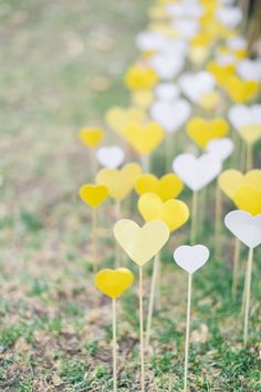 small yellow and white flowers in the grass