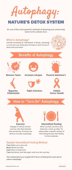 What Is Autophagy, Detox Your Liver, Detox Diet Plan, Detox Plan, Detox Program, Liver Detox, Healthy Liver, Natural Detox