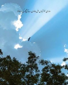 a bird flying in the sky above some trees and clouds with arabic writing on it