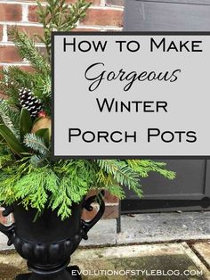 a potted plant with the words how to make gorgeous winter porch pots