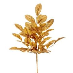 a plant with gold leaves is shown against a white background