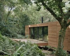 a wooden house in the woods surrounded by trees and plants, with glass doors on each side