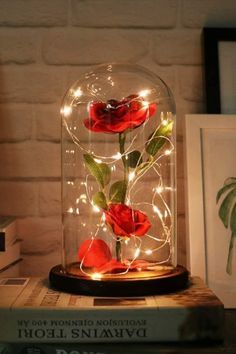 Gold Dipped Rose, Landscaping With Roses, Rose Dome, Rose In A Glass, Glowing Flowers, Rose Belle, Enchanted Rose, Forever Rose, 3d Rose