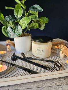 a potted plant sitting on top of a tray next to some scissors and candles