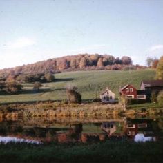 a small house sitting on top of a lush green hillside next to a lake in the middle of a forest