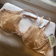 Nwt. Calvin Kline Bra In Color Nude And Size 32. B. Beige Full Coverage Bra For Spring, Spring Beige Full Cup Bra, Padded Cups Bra For Loungewear, Fitted Padded Bra For Loungewear, Fitted Beige Bra With Lace Trim, Fitted Beige Bra For Loungewear, Fitted Partially Lined Beige Bra, Fitted Beige Lace Trim Bra, Elegant Fitted Bra For Loungewear