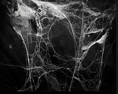 an abstract black and white photo with spider webs on it's back side