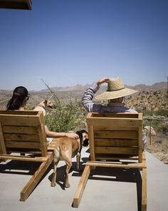 two people sitting on wooden chairs next to a dog