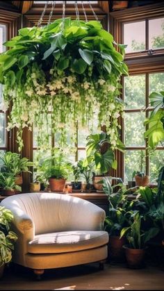 a living room filled with lots of green plants