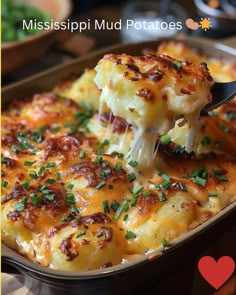 a casserole dish with cheese being lifted from the casserole in a pan