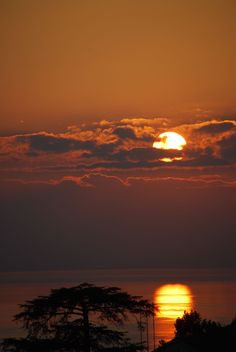 the sun is setting over the ocean with clouds in the sky and trees on the shore