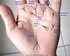 Trident Mark Meaning on the Palm Lines - Destiny Palmistry Hand Lines Meaning, Palm Lines Meaning, Marriage Lines Palmistry, Palm Reading Lines, Palm Reading Charts, Palmistry Reading, Palm Lines, Sweaty Hands, Palm Reader