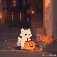 a white cat sitting on the ground next to a pumpkin