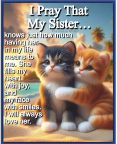 two kittens sitting next to each other with the words i pray that my sister