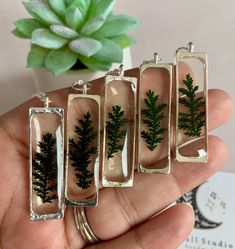 four pendants with plants in them on a person's hand next to a succulent plant