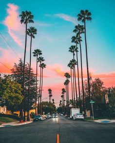 palm trees line the street in front of a pink sky at sunset with cars driving down it