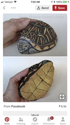 two pictures of a turtle on top of a rock