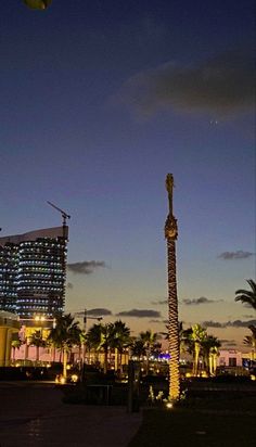 a tall palm tree sitting in the middle of a park next to a tall building