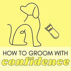 a dog with a brush in its mouth and the words, how to groom with confidence