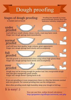 an info poster describing dough proofing and how to use it for baking or cooking