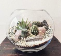 a glass bowl with rocks and cacti in it